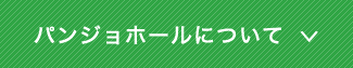 パンジョホールについて